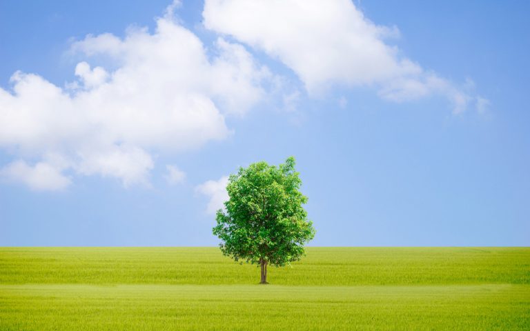 彩友会 ·(中国游)有限公司官网